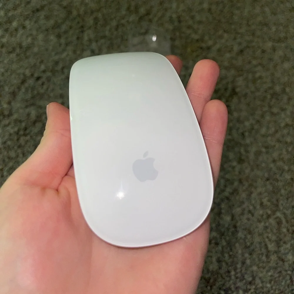 Apple magic mouse
